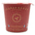 Shaman Raman Tasty Tomato