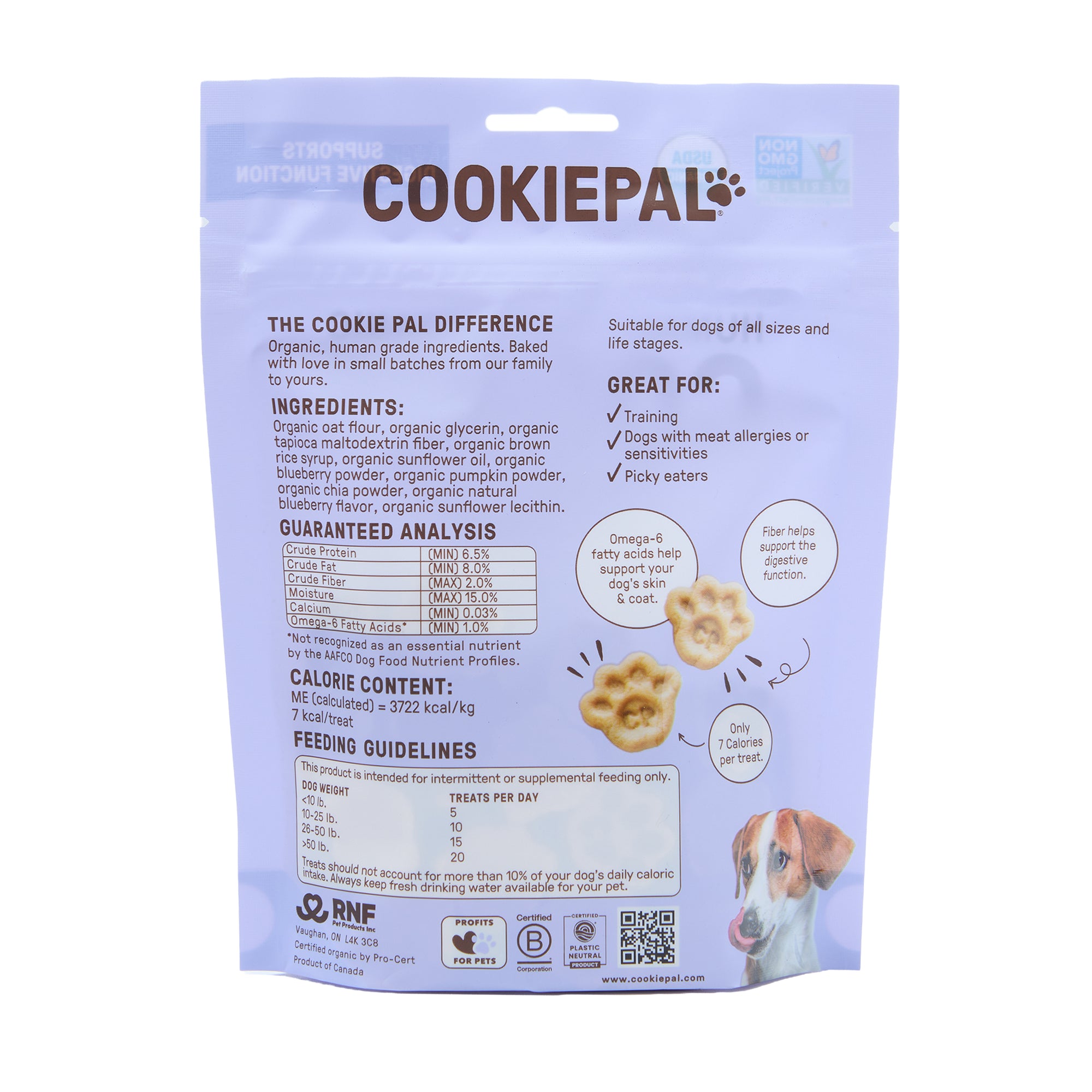 Cookie Pal Dog Treat Soft Bite Pumpkin