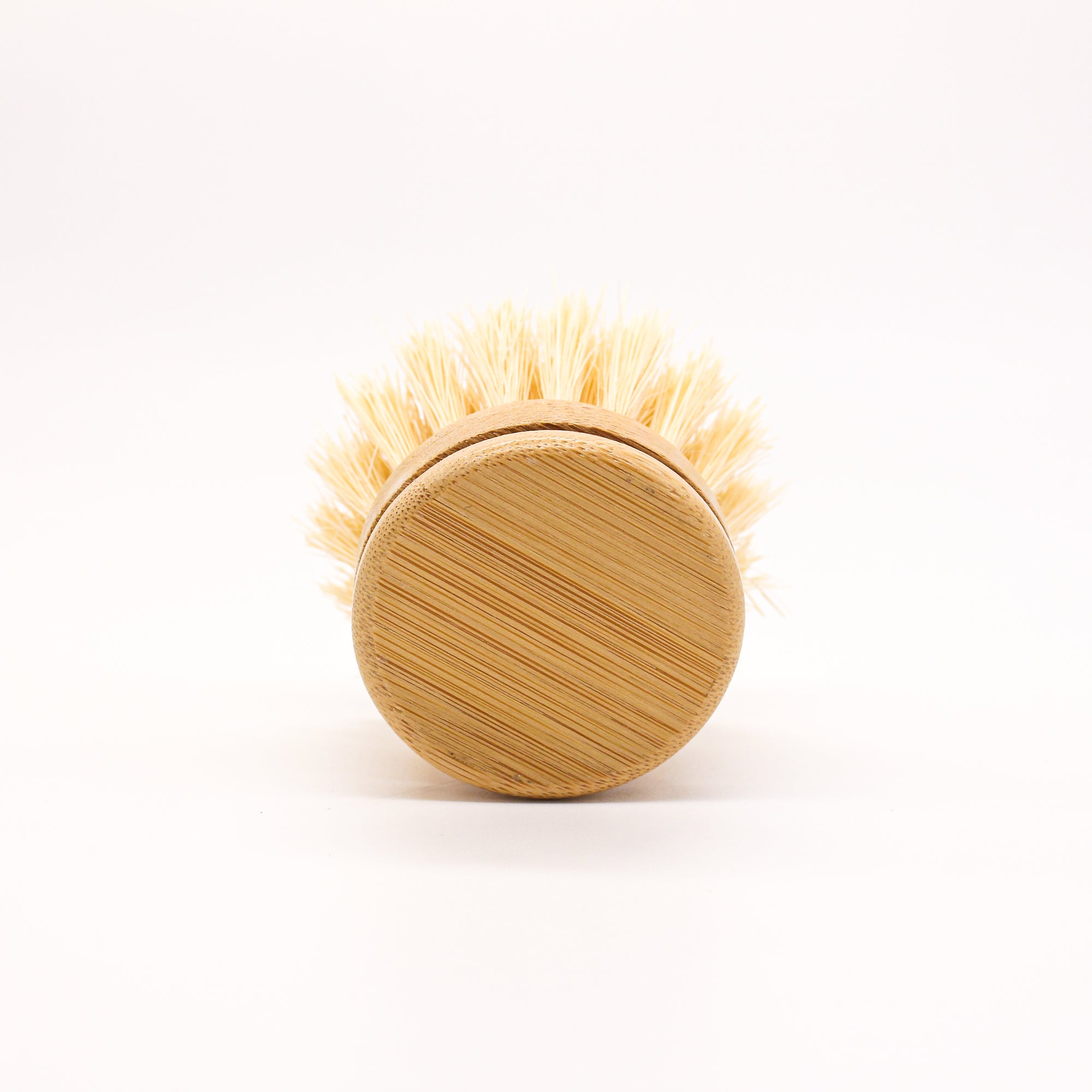 No Tox Life Casa Agave Dish Brush Replacement Head