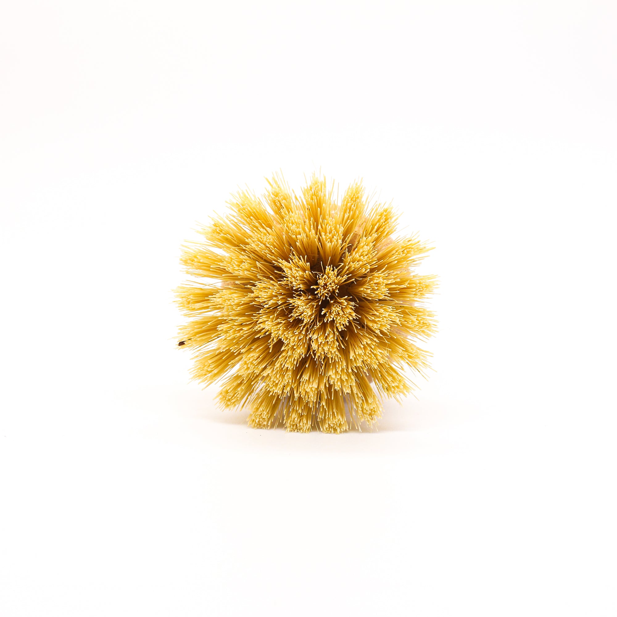 No Tox Life Casa Agave Dish & Vegetable Hand Brush