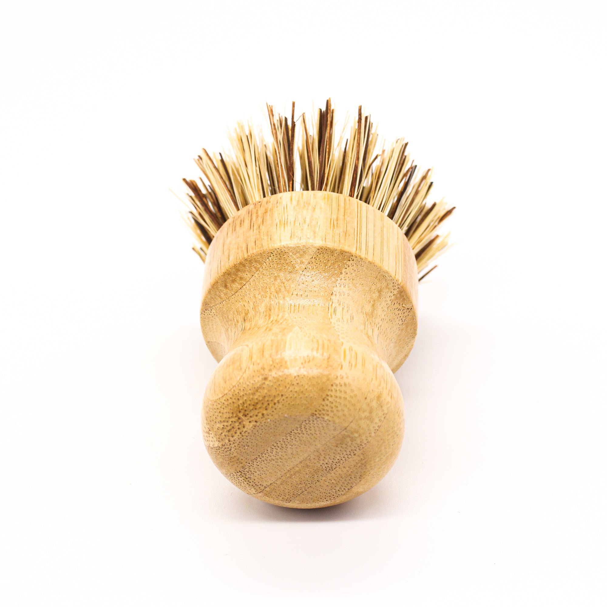 Earth & Daughter Casa Agave Pot Scrubber